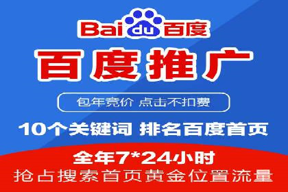 SEM广告投放策略：成功案例解析